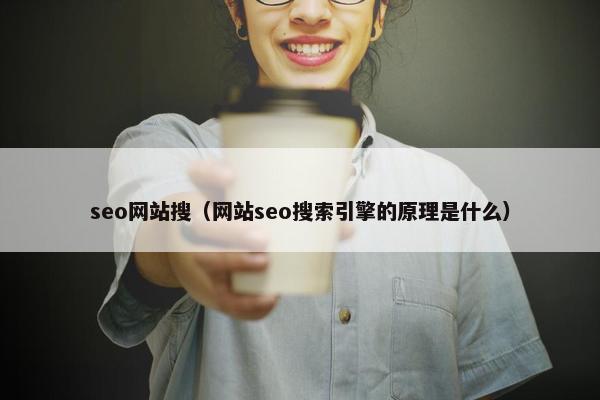 seo网站搜（网站seo搜索引擎的原理是什么）