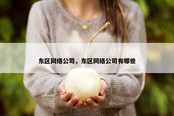 东区网络公司，东区网络公司有哪些