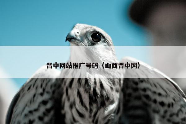 晋中网站推广号码（山西晋中网）