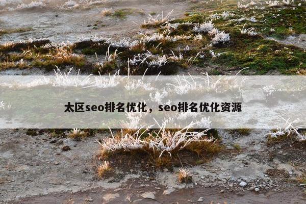 太区seo排名优化，seo排名优化资源