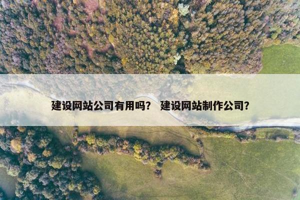 建设网站公司有用吗？ 建设网站制作公司？