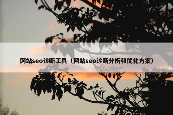 网站seo诊断工具（网站seo诊断分析和优化方案）