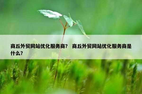 商丘外贸网站优化服务商？ 商丘外贸网站优化服务商是什么？