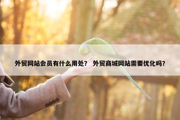 外贸网站会员有什么用处？ 外贸商城网站需要优化吗？