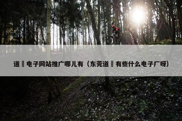 道滘电子网站推广哪儿有（东莞道滘有些什么电子厂呀）