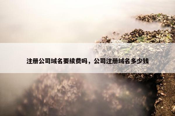 注册公司域名要续费吗，公司注册域名多少钱