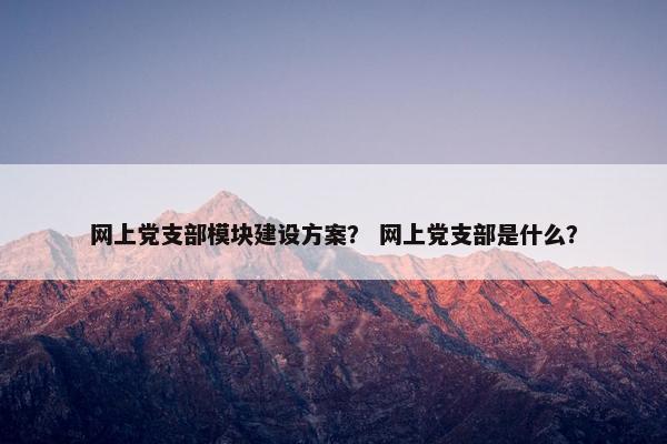 网上党支部模块建设方案？ 网上党支部是什么？
