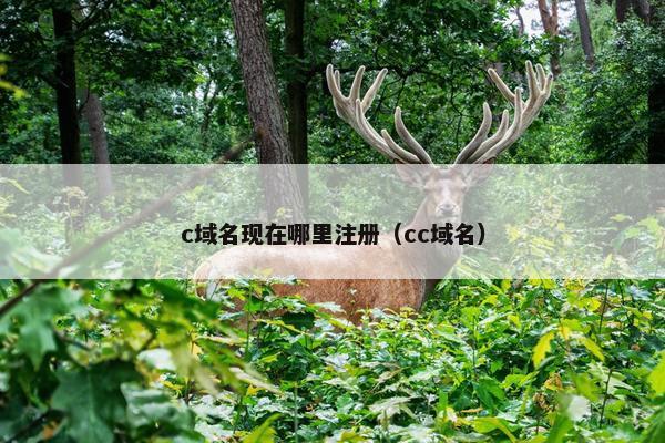 c域名现在哪里注册（cc域名）
