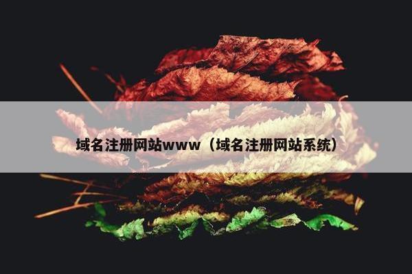 域名注册网站www（域名注册网站系统）