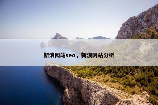 新浪网站seo，新浪网站分析