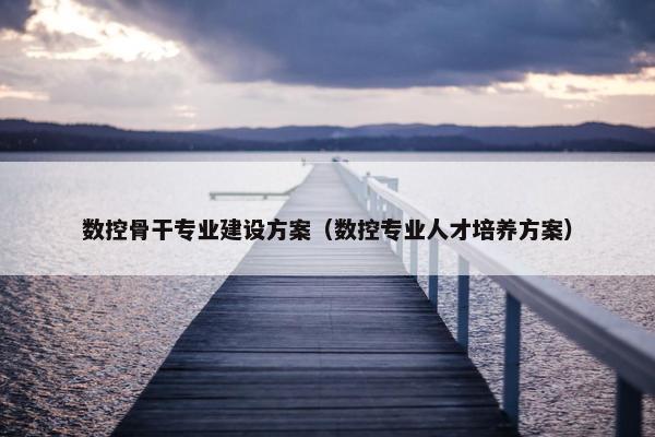 数控骨干专业建设方案（数控专业人才培养方案）