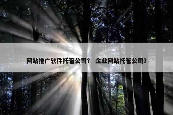 网站推广软件托管公司？ 企业网站托管公司？