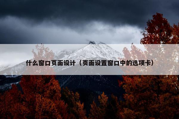 什么窗口页面设计（页面设置窗口中的选项卡）