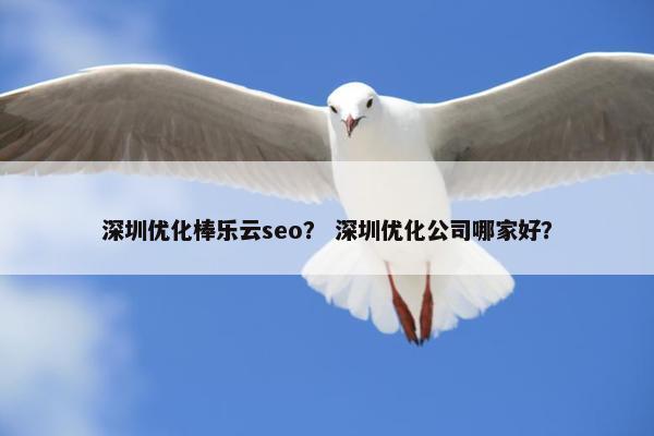深圳优化棒乐云seo？ 深圳优化公司哪家好？