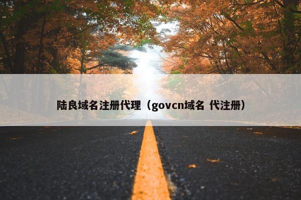 陆良域名注册代理（govcn域名 代注册）
