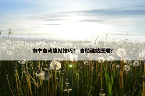 南宁自动建站技巧？ 自助建站原理？