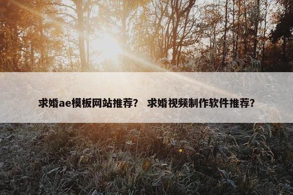 求婚ae模板网站推荐？ 求婚视频制作软件推荐？