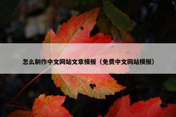 怎么制作中文网站文章模板（免费中文网站模板）
