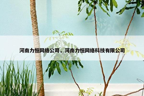 河南力恒网络公司，河南力恒网络科技有限公司