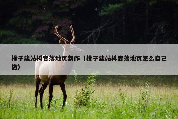 橙子建站抖音落地页制作（橙子建站抖音落地页怎么自己做）