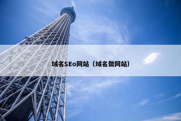 域名SEo网站（域名做网站）