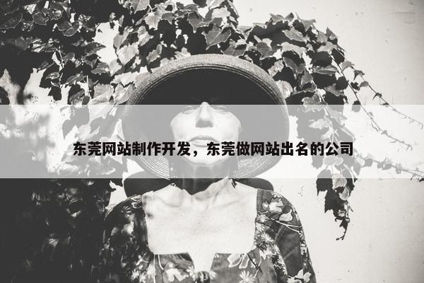 东莞网站制作开发，东莞做网站出名的公司