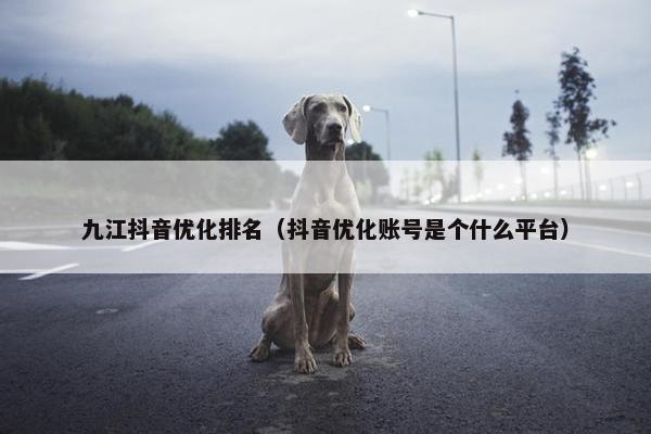 九江抖音优化排名（抖音优化账号是个什么平台）