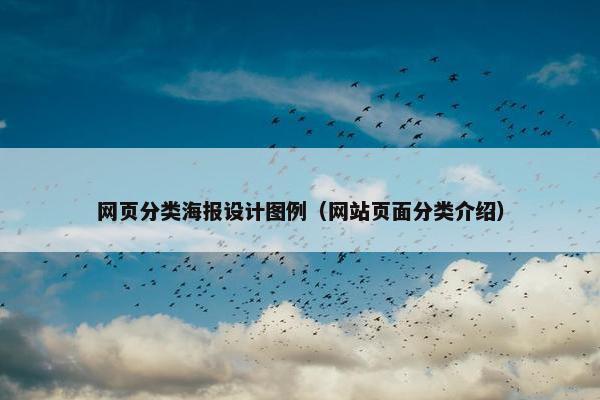 网页分类海报设计图例（网站页面分类介绍）