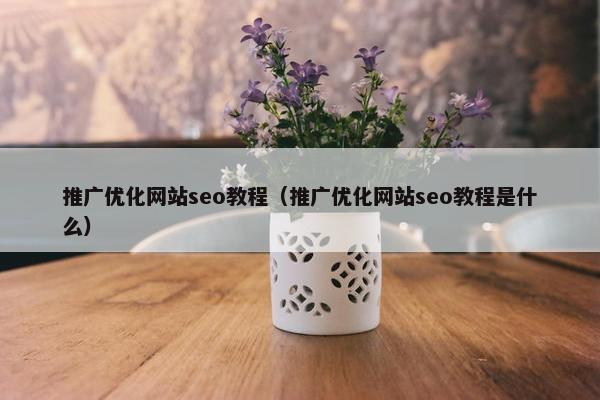 推广优化网站seo教程（推广优化网站seo教程是什么）