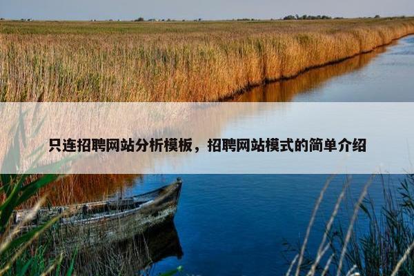 只连招聘网站分析模板，招聘网站模式的简单介绍
