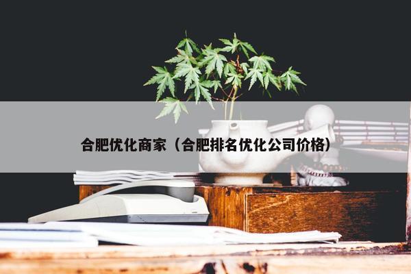 合肥优化商家（合肥排名优化公司价格）