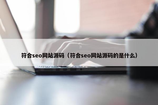 符合seo网站源码（符合seo网站源码的是什么）