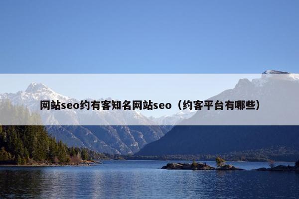 网站seo约有客知名网站seo（约客平台有哪些）