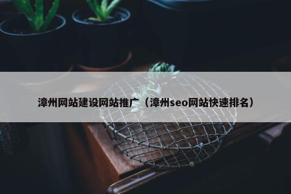 漳州网站建设网站推广（漳州seo网站快速排名）
