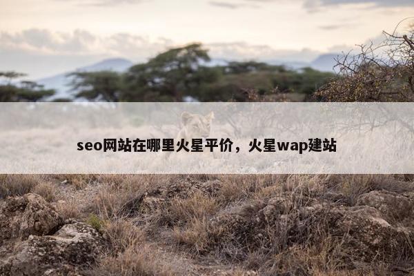 seo网站在哪里火星平价，火星wap建站
