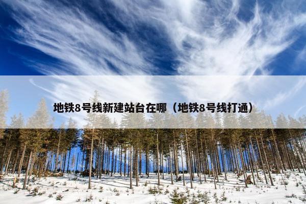 地铁8号线新建站台在哪（地铁8号线打通）