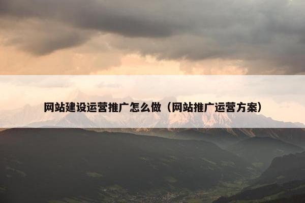 网站建设运营推广怎么做（网站推广运营方案）