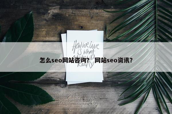 怎么seo网站咨询？ 网站seo资讯？
