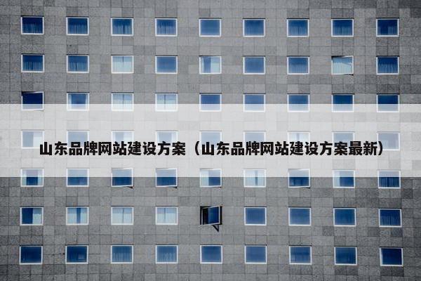 山东品牌网站建设方案（山东品牌网站建设方案最新）