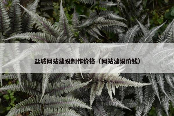 盐城网站建设制作价格（网站建设价钱）