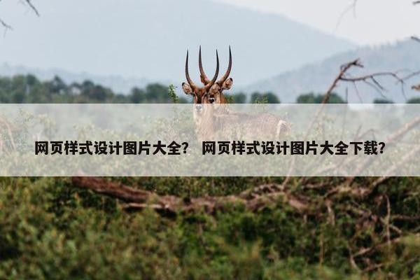 网页样式设计图片大全？ 网页样式设计图片大全下载？