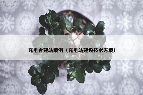 充电合建站案例（充电站建设技术方案）