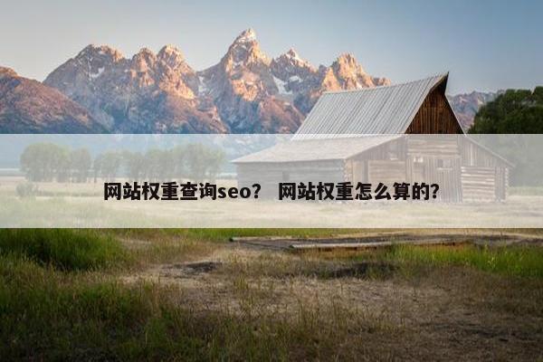 网站权重查询seo？ 网站权重怎么算的？