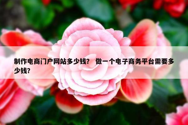 制作电商门户网站多少钱？ 做一个电子商务平台需要多少钱？