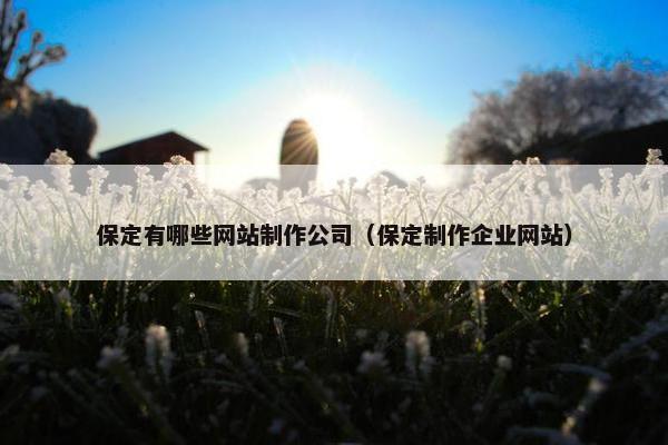 保定有哪些网站制作公司（保定制作企业网站）