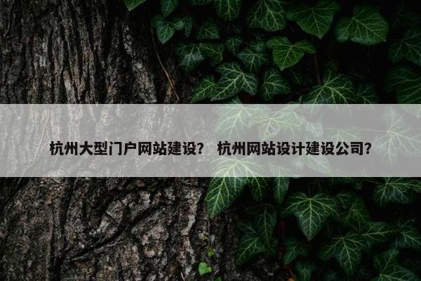 杭州大型门户网站建设？ 杭州网站设计建设公司？