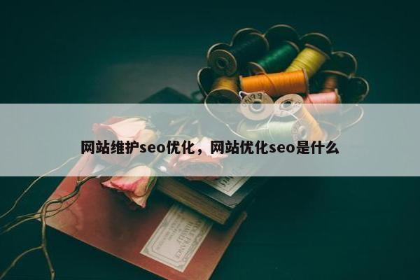 网站维护seo优化，网站优化seo是什么