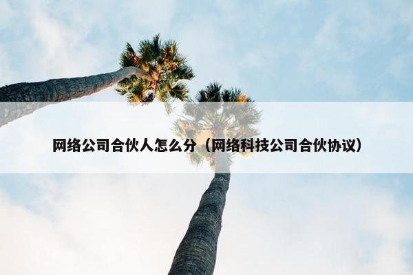 网络公司合伙人怎么分（网络科技公司合伙协议）