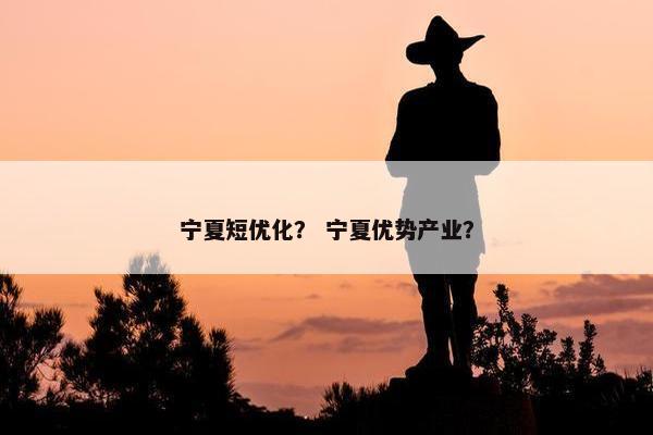 宁夏短优化？ 宁夏优势产业？