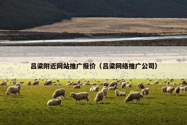 吕梁附近网站推广报价（吕梁网络推广公司）